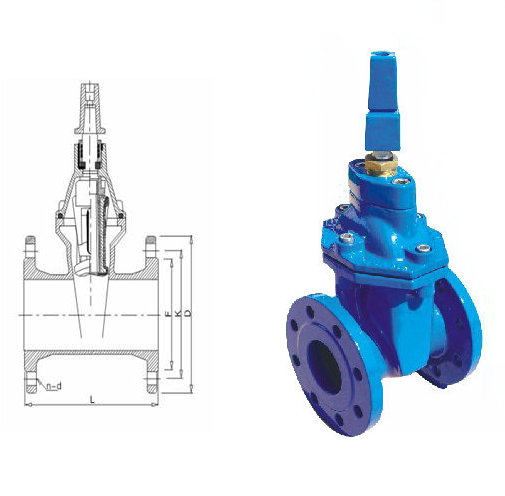 BS5163 Gate Valve