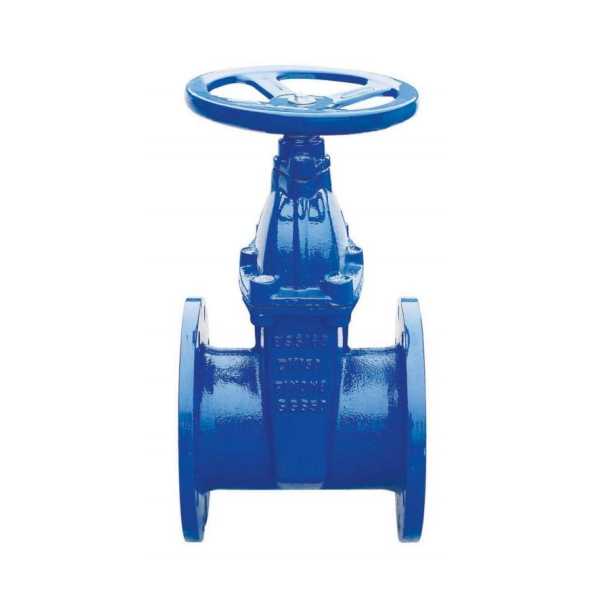 Resilient Seated Gate Valve